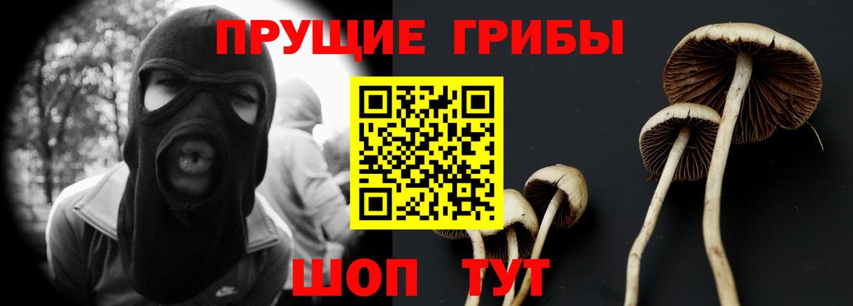 Кохма  цены   Вход с VPN  Галлюциногенные грибы ЛСД 